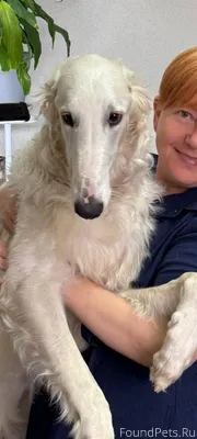 💣ПРОПАЛА БОРЗАЯ💣 1 января окол...