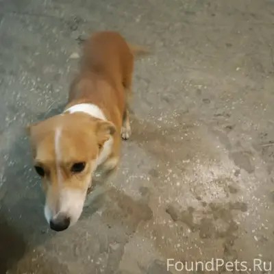 🆘🆘🆘🆘❗❗❗❗ СРОЧНО в подъезд приб...