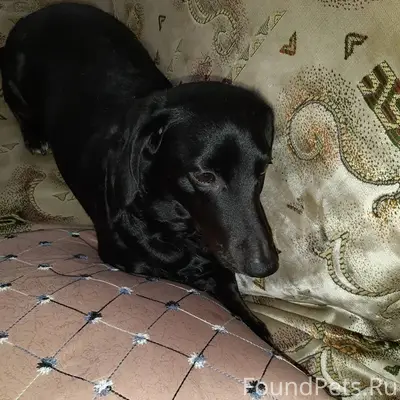 Добрый вечер,подписчики. Пропа...