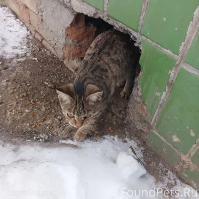 1 января в коробках из под...