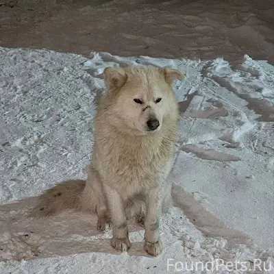 Примерно 15-16 декабря 2025г(1...