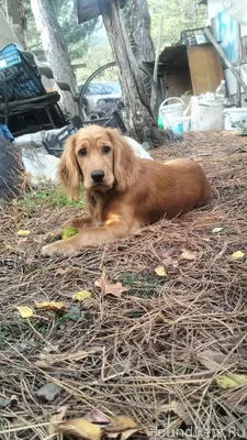 В районе Южного Портала пропал...