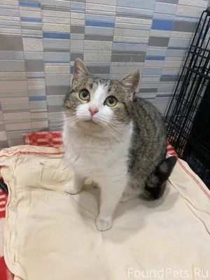 Здравствуйте всем. Очередная п...