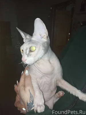 СРОЧНО!!! Найдена на Димитрова...