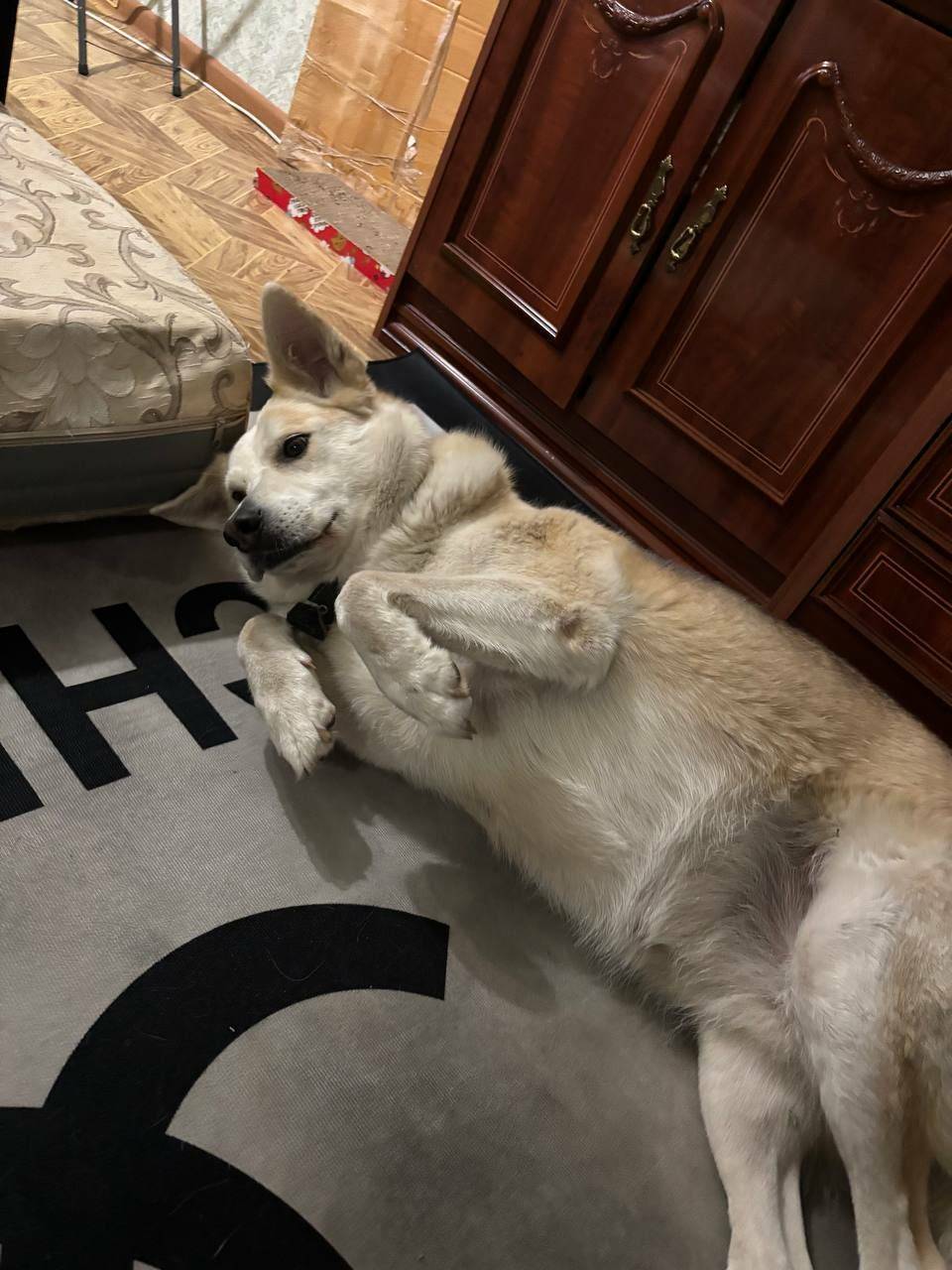 Коломна. Район Подлипки-город ...