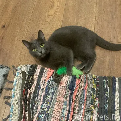 05.01.2026 По адресу Мичурина....