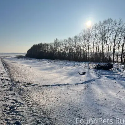 02.01.2025г. у нас произошла.....