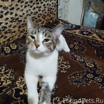 ‼️Информационная помощь‼️ В до...