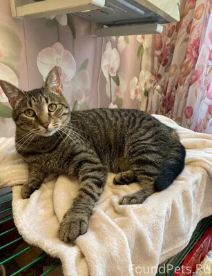 Владивосток новости Большой се...