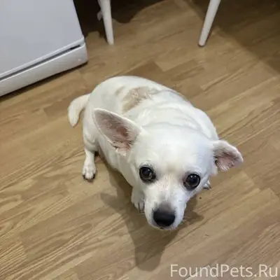 Нашли 4.01.2026 в районе...