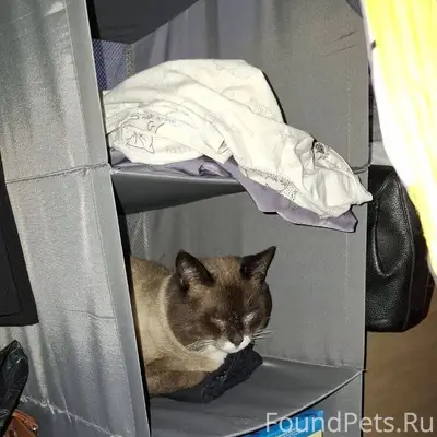 Уважаемые жители Заречья ,проп...