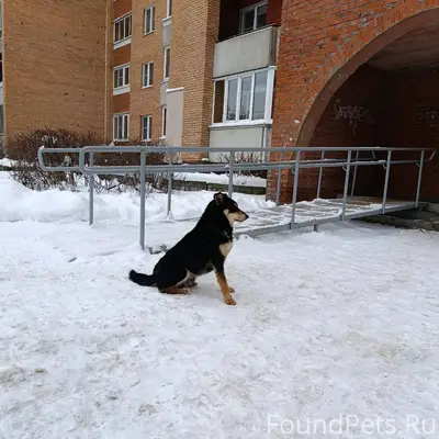 Электросталь, улица Юбилейная ...