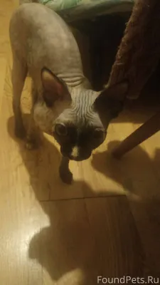 3 января в подъезде по ул...