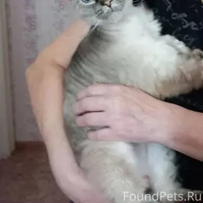 Друзья, прошу вашего репоста! ...