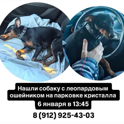 Попросили выложить пост. Репос...