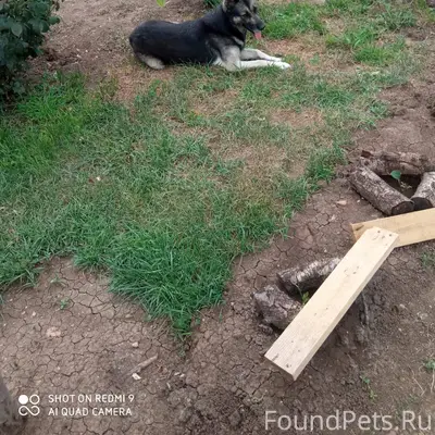 Пожалуйста! Всём неравнодушным...