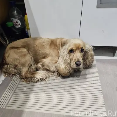 ‼️ Друзья, Северодвинск, прошу...