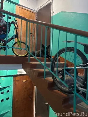 Здравствуйте, сегодня около кв...