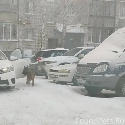 Прошу откликнуться неравнодушн...