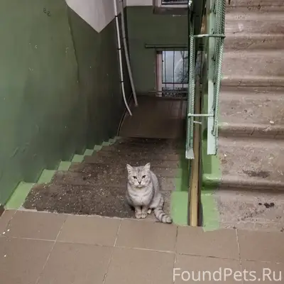 По адресу мкр. 3, д. 18...