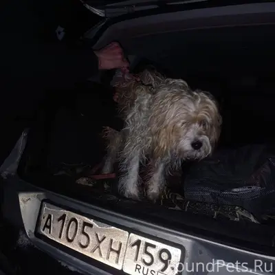 Внимание! На Уральской найден ...