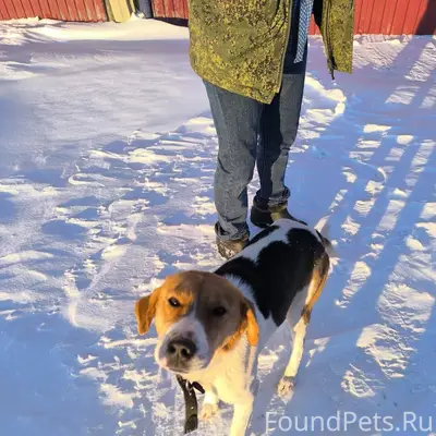 ПОМОГАЮ ИНФОРМАЦИОННО!‼️ ПОПРО...