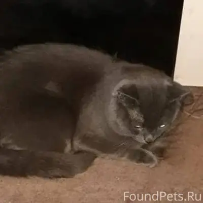 Всем добрый вечер. Помогите по...