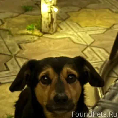 Пожалуйста помогите найти ‼️ПР...