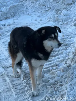 Друзья! Помогаю информационно!...