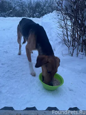 ‼️ ‼️ ‼️ Может кто-то...