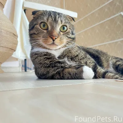 26.10 в п.Н.Голубево...