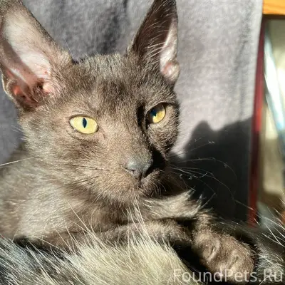 В районе ул. Перекопская, мага...