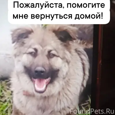 31 декабря в Сатке на улице...