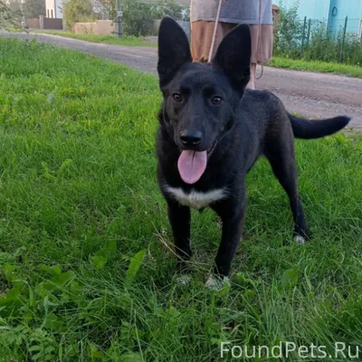 Здравствуйте, 6 января примерн...