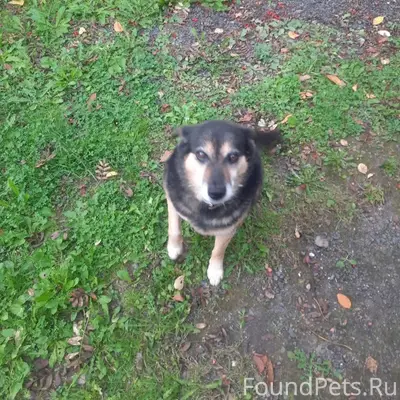 Добрый день. Сегодня утром убе...