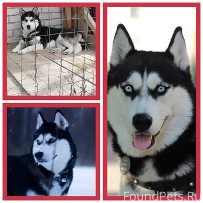 ❗ ВЕРИМ, НАДЕЕМСЯ, ЛЮБИМ, ИЩЕМ...