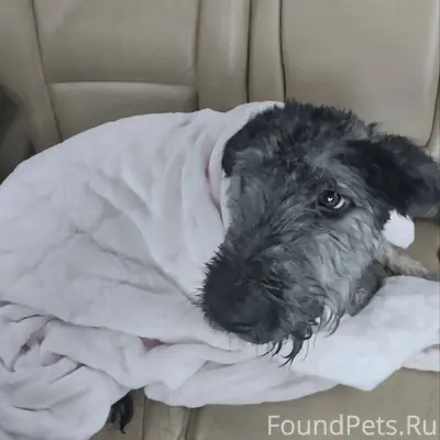 Белгород!!!Чей?Я нашёл: «Добры...