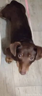 Люди ,с добрыми сердцами, откл...