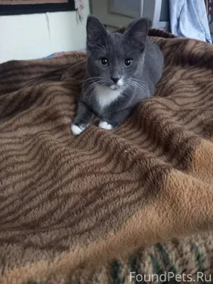 Добрый день! Помогите пожалуйс...