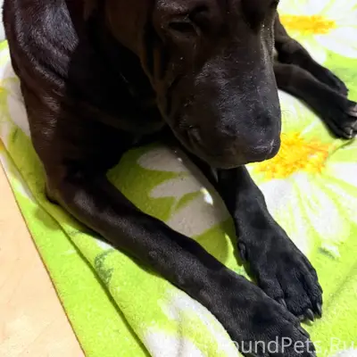 Сегодня в районе Восточный был...