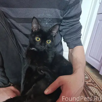 ‼️ПОМОГИТЕ РАСПРОСТРАНИТЬ ИНФО...