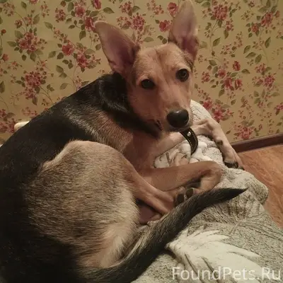 🚨🚨🚨🚨🚨🚨🚨 ДРУЗЬЯ, ПРОШУ ПОМОЩИ!!...