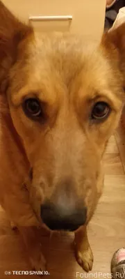 01.01.2026 трассе М8 возле...