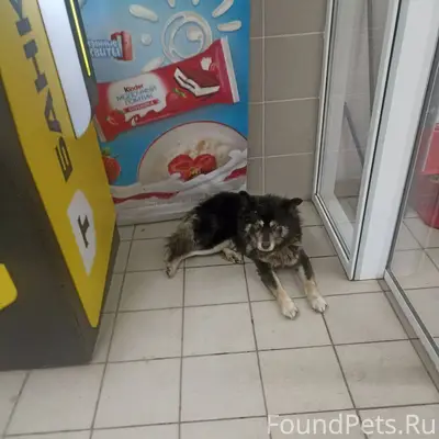 Зеленодольск. Магазин МАГНИТ М...