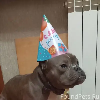 Прошу максимального репоста 🙏 ...