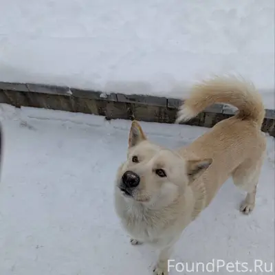Добрый день Три недели назад в...