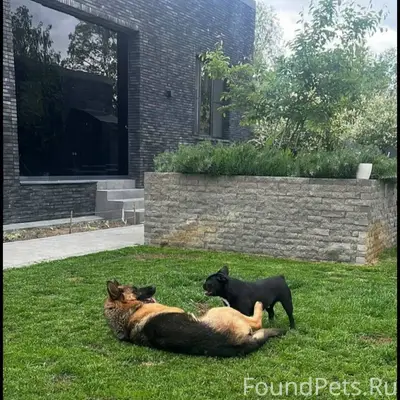 #розыск ПОМОГИТЕ НАЙТИ! Волото...