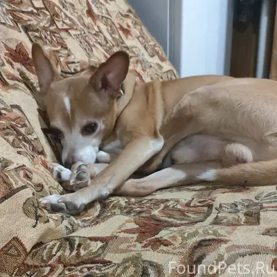 Максимальный репост пожалуйста...