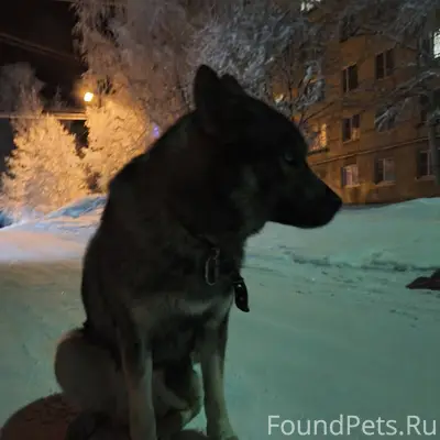 📌Друзья, на Проезд Бумажников,...