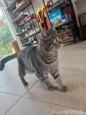 Июль 2025 ⭐️ В июле к...